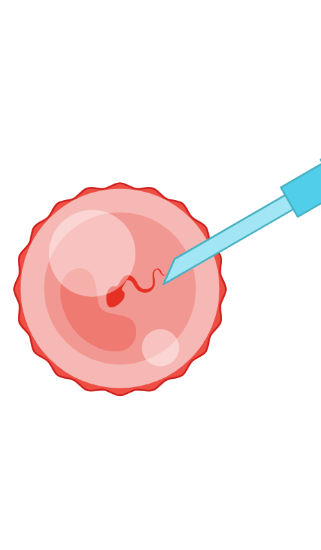 Fertility specialist discussing IVF treatment options