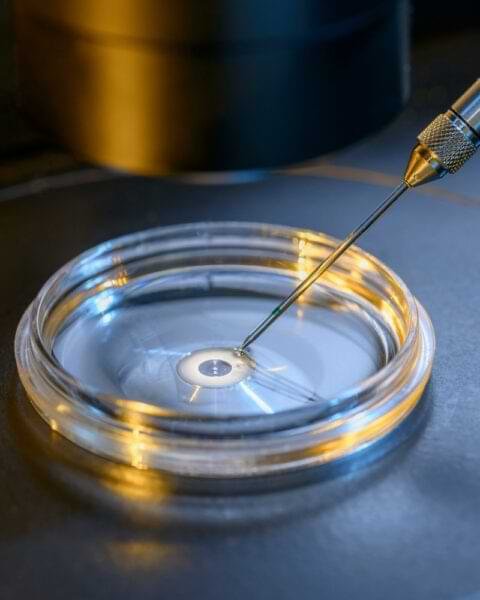 Best IVF center in Ahmedabad - Prabhu Hospital fertility care team