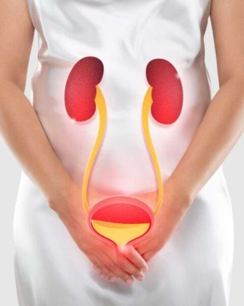 Best urogynecology surgery in Ahmedabad—Prabhu Hospital