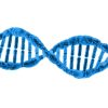 dna, biology, science, dna helix, protein, molecule, molecular structure, chromosome, spiral, microbiology, deoxyribonucleic acid, 3d, render, isolated, dna, dna, dna, dna, dna